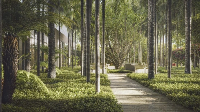 MAAM Paraíso: um bosque assinado. Um clube completo.: 42ª foto da galeria de imagens do imóvel