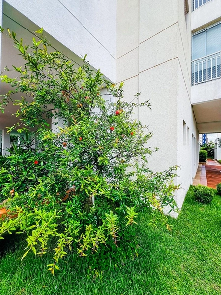 More a 700m do Parque da Aclimação | 81m² | 2 Dorms (1 Suíte) | Lazer Completo: 27ª foto da galeria de imagens do imóvel