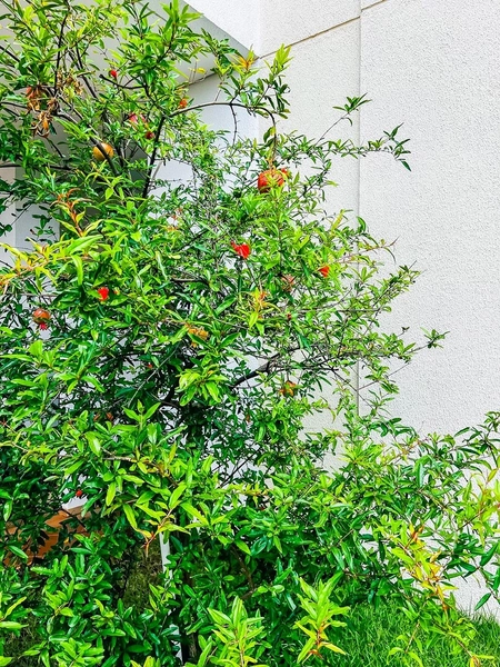 More a 700m do Parque da Aclimação | 81m² | 2 Dorms (1 Suíte) | Lazer Completo: 28ª foto da galeria de imagens do imóvel