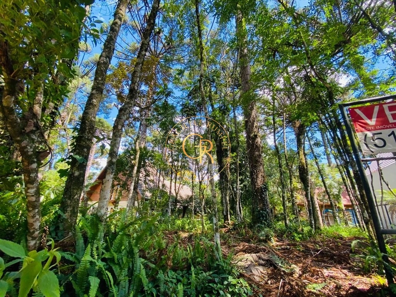 Terreno próximo ao Lago Negro em Gramado!: 1ª foto da galeria de imagens do imóvel