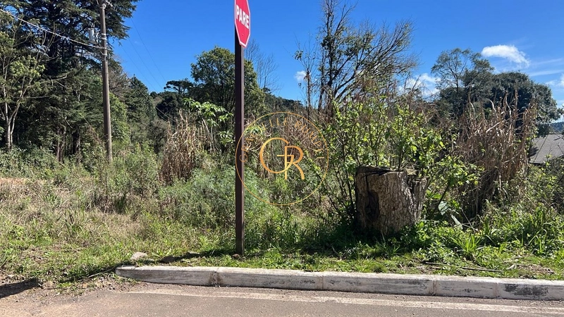 Terreno no Loteamento Vale dos Pinheiros: 3ª foto da galeria de imagens do imóvel