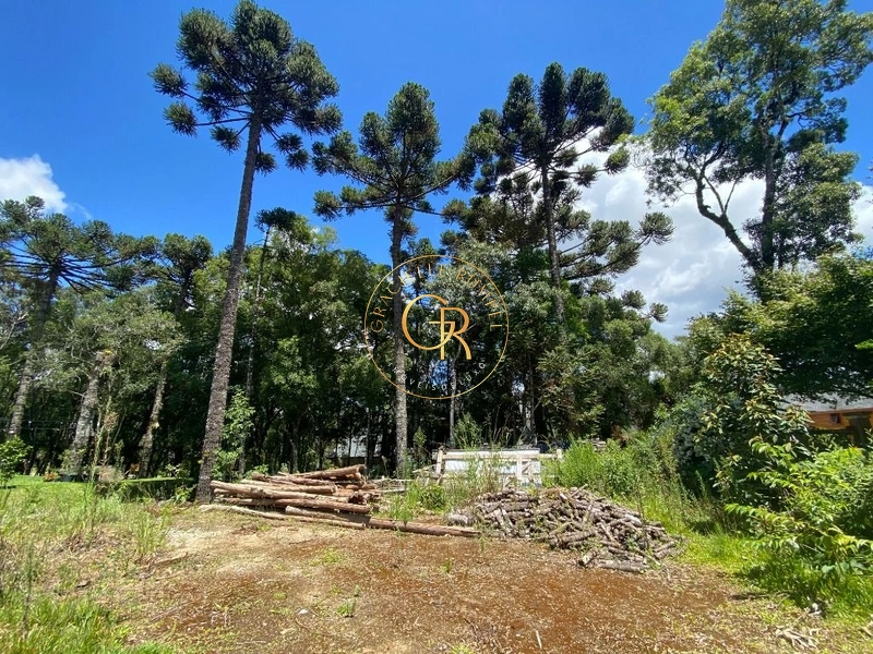 Terreno no condomínio Laje de Pedra!: 9ª foto da galeria de imagens do imóvel
