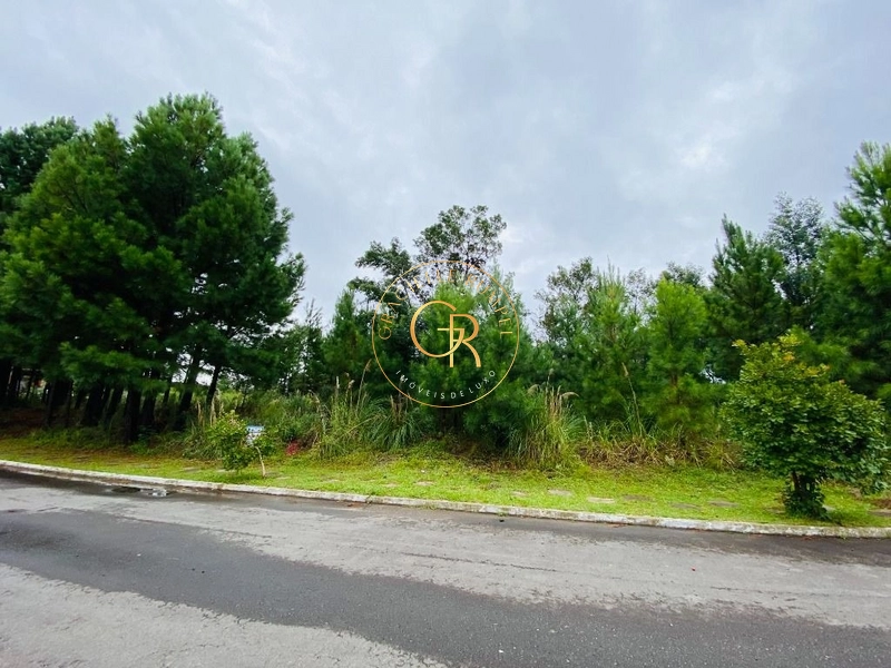 Terreno no bairro Mato Queimado em Gramado: 3ª foto da galeria de imagens do imóvel