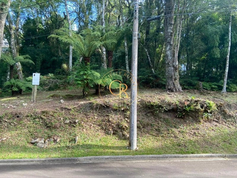 Terreno no condomínio O  Bosque: 3ª foto da galeria de imagens do imóvel
