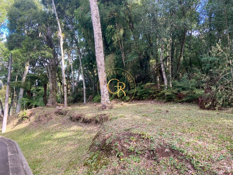 Terreno no condomínio O  Bosque: 4ª foto da galeria de imagens do imóvel
