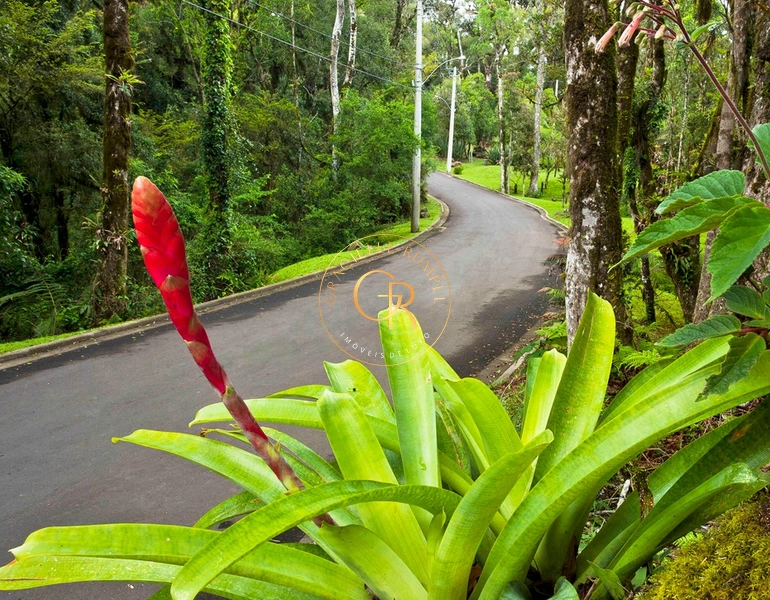 Terreno no bairro Mato Queimado em Gramado: 8ª foto da galeria de imagens do imóvel