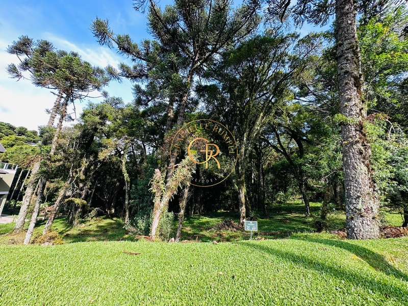 Terreno em condomínio no Centro de Canela: 2ª foto da galeria de imagens do imóvel