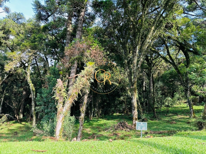 Terreno em condomínio no Centro de Canela: 1ª foto da galeria de imagens do imóvel