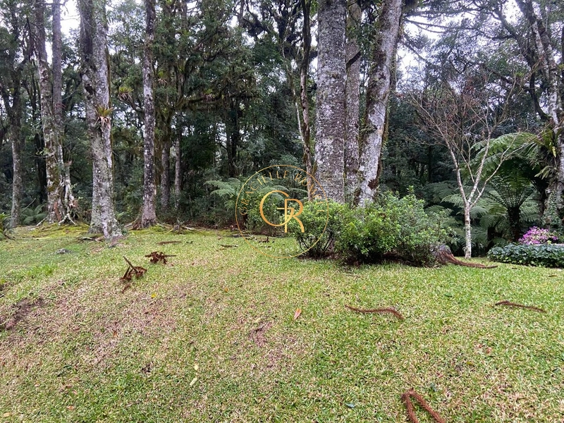 Terreno no condomínio O Bosque, 1.300m² com projeto aprovado: 5ª foto da galeria de imagens do imóvel