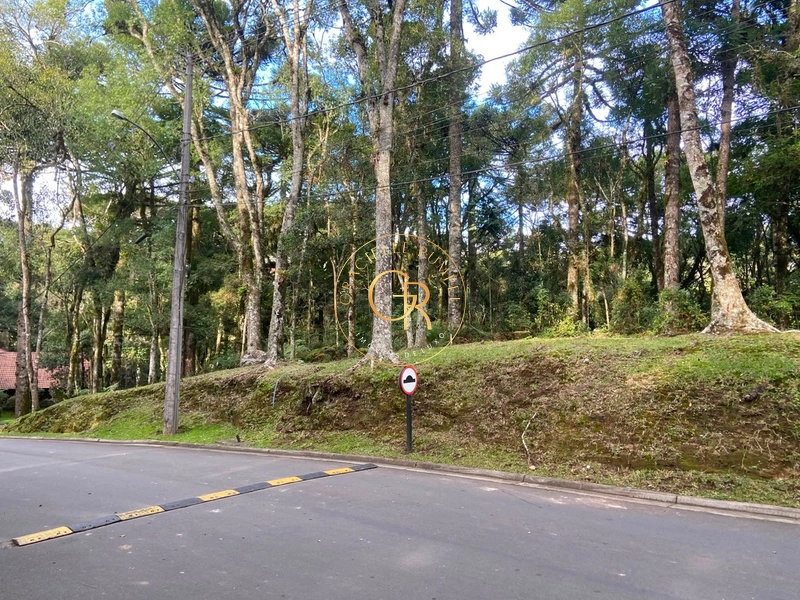 Terreno no condomínio O Bosque, 1.300m² com projeto aprovado: 1ª foto da galeria de imagens do imóvel