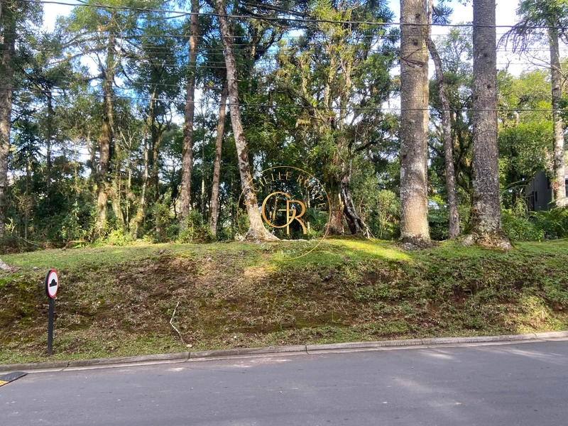 Terreno no condomínio O Bosque, 1.300m² com projeto aprovado: 2ª foto da galeria de imagens do imóvel