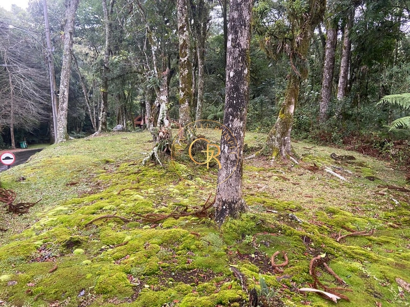 Terreno no condomínio O Bosque, 1.300m² com projeto aprovado: 6ª foto da galeria de imagens do imóvel