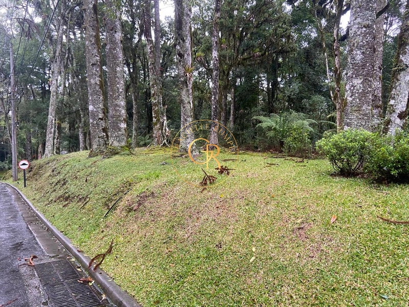 Terreno no condomínio O Bosque, 1.300m² com projeto aprovado: 4ª foto da galeria de imagens do imóvel