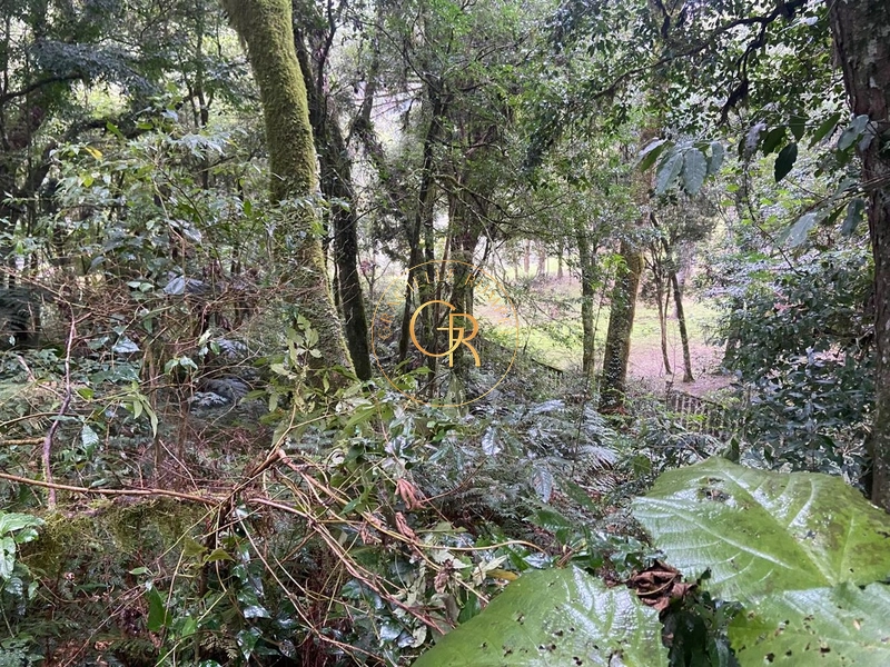 Terreno no condomínio O Bosque, 1.300m² com projeto aprovado: 14ª foto da galeria de imagens do imóvel
