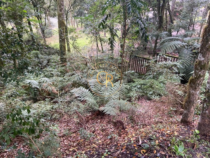 Terreno no condomínio O Bosque, 1.300m² com projeto aprovado: 10ª foto da galeria de imagens do imóvel