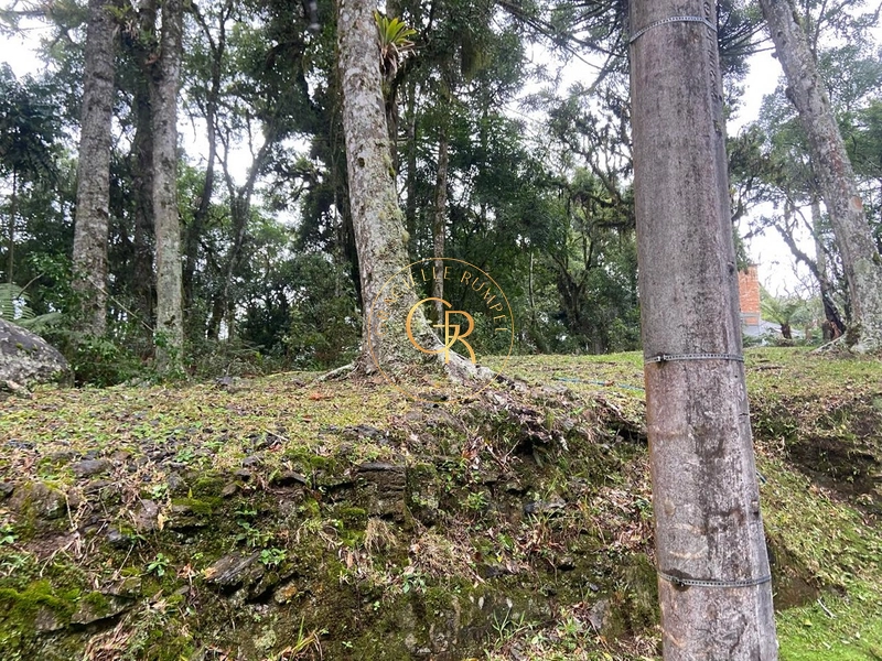 Terreno no condomínio O Bosque, 1.300m² com projeto aprovado: 13ª foto da galeria de imagens do imóvel
