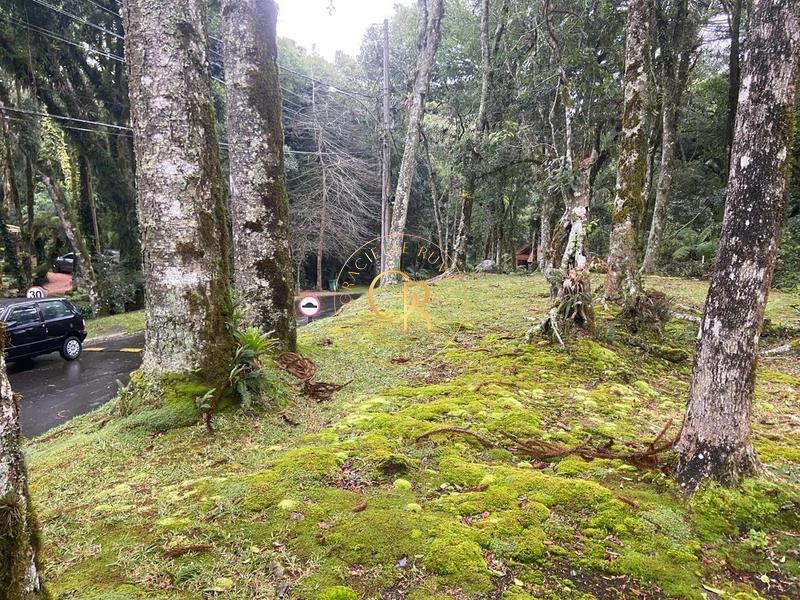 Terreno no condomínio O Bosque, 1.300m² com projeto aprovado: 7ª foto da galeria de imagens do imóvel