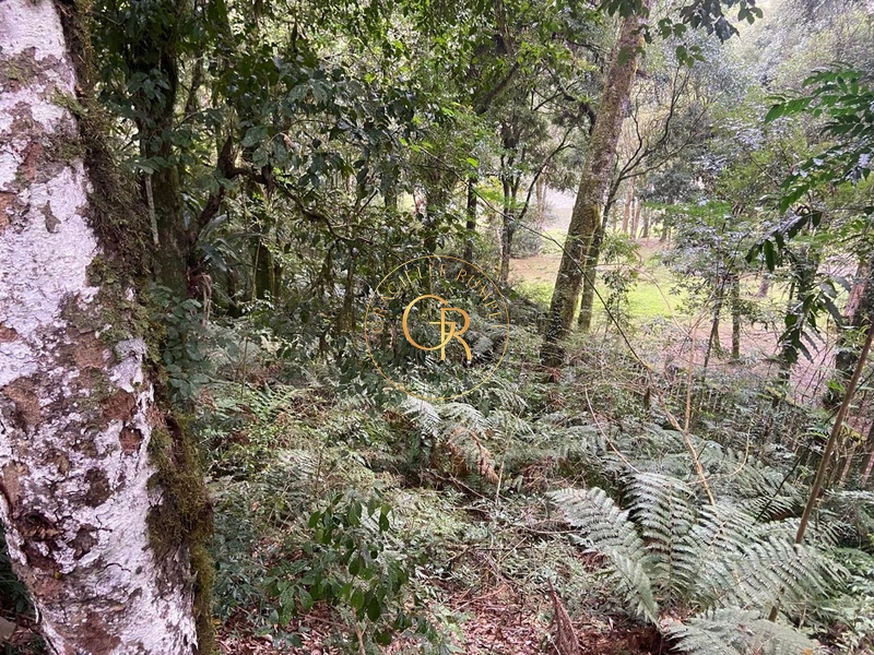 Terreno no condomínio O Bosque, 1.300m² com projeto aprovado: 11ª foto da galeria de imagens do imóvel