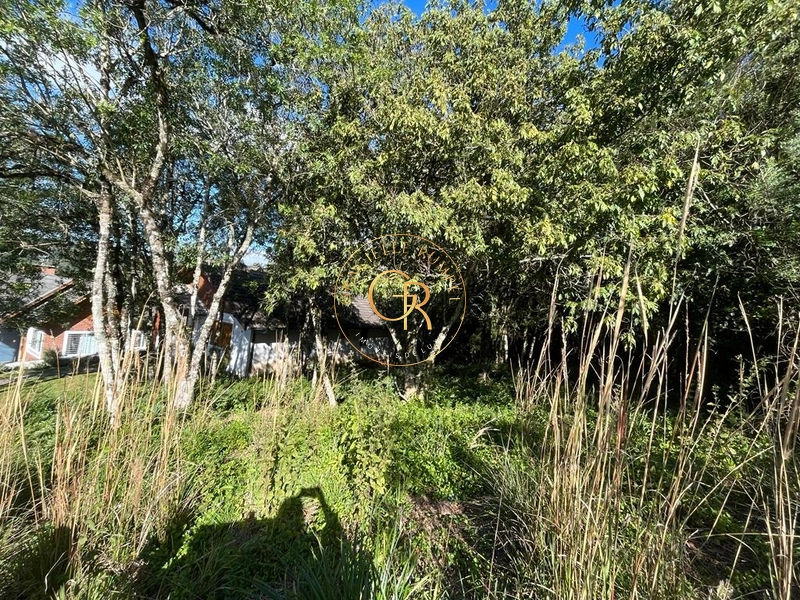 Oportunidade de Investimento Terreno: 2ª foto da galeria de imagens do imóvel