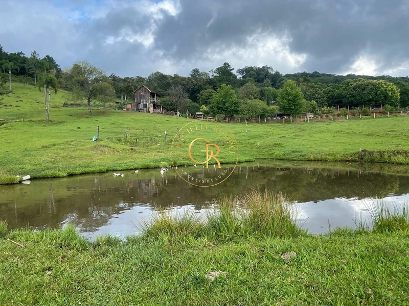 Terreno em Igrejinha, estrada para Serra Grande de 8 Hectares.: 7ª foto da galeria de imagens do imóvel