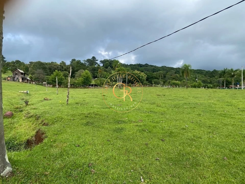 Terreno em Igrejinha, estrada para Serra Grande de 8 Hectares.: 3ª foto da galeria de imagens do imóvel