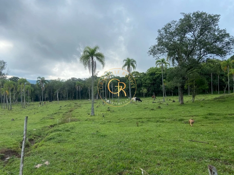 Terreno em Igrejinha, estrada para Serra Grande de 8 Hectares.: 6ª foto da galeria de imagens do imóvel