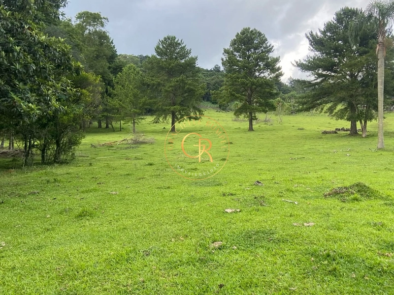 Terreno em Igrejinha, estrada para Serra Grande de 8 Hectares.: 5ª foto da galeria de imagens do imóvel