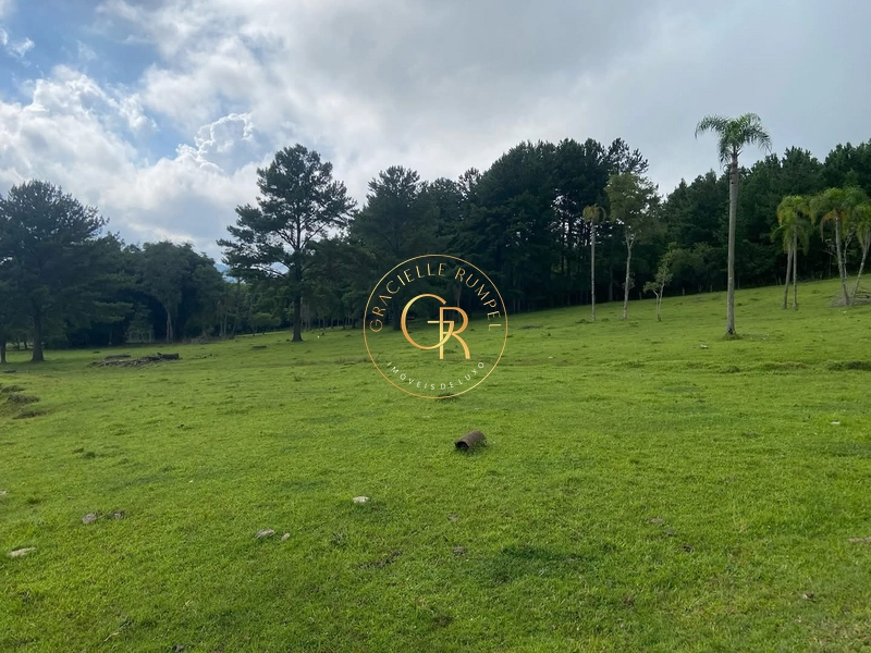 Terreno em Igrejinha, estrada para Serra Grande de 8 Hectares.: 8ª foto da galeria de imagens do imóvel
