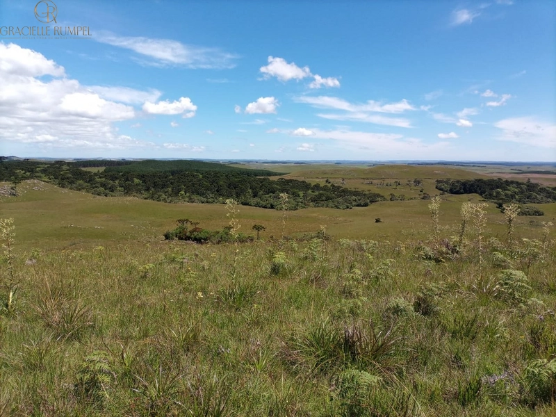 Fazenda em São Francisco de Paula!: 2ª foto da galeria de imagens do imóvel
