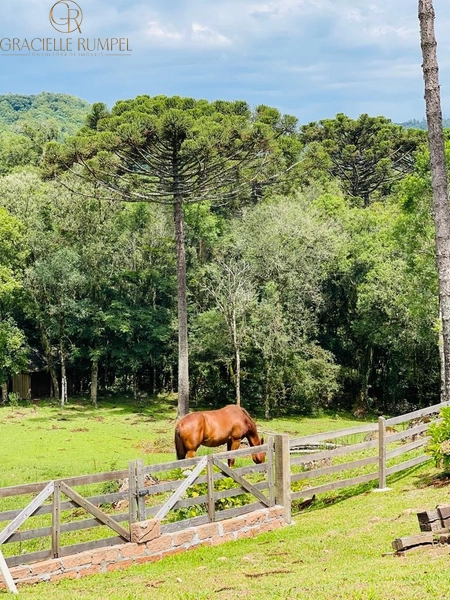 Sítio a 10 min do Centro de Gramado!: 11ª foto da galeria de imagens do imóvel