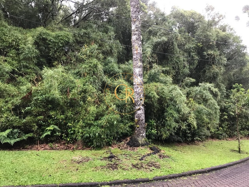 Imóvel residencial ou comercial
