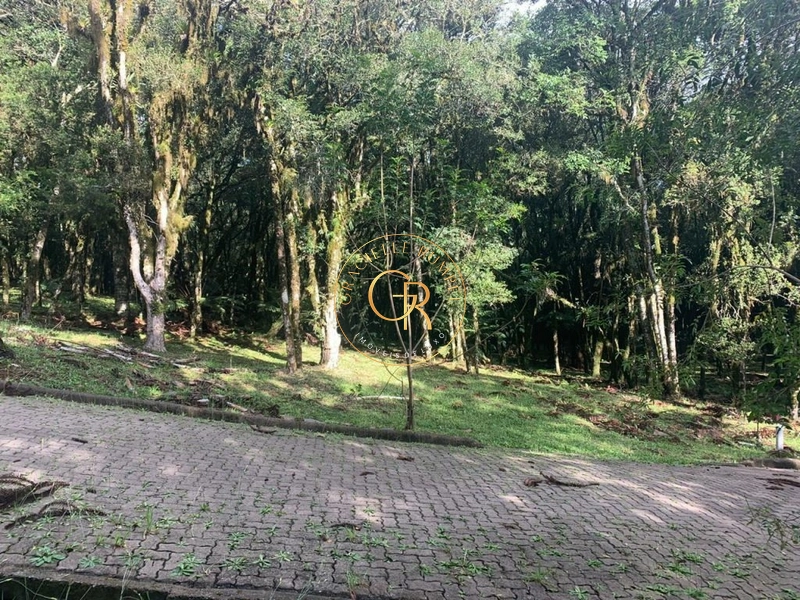 Terreno no Residencial Pinheiro Grosso!: 13ª foto da galeria de imagens do imóvel