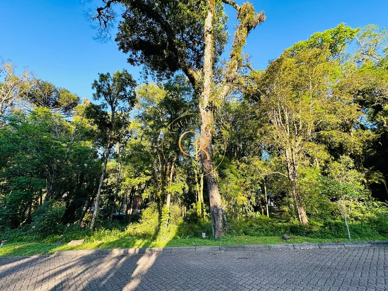 Terreno em Condomínio em Canela: 3ª foto da galeria de imagens do imóvel