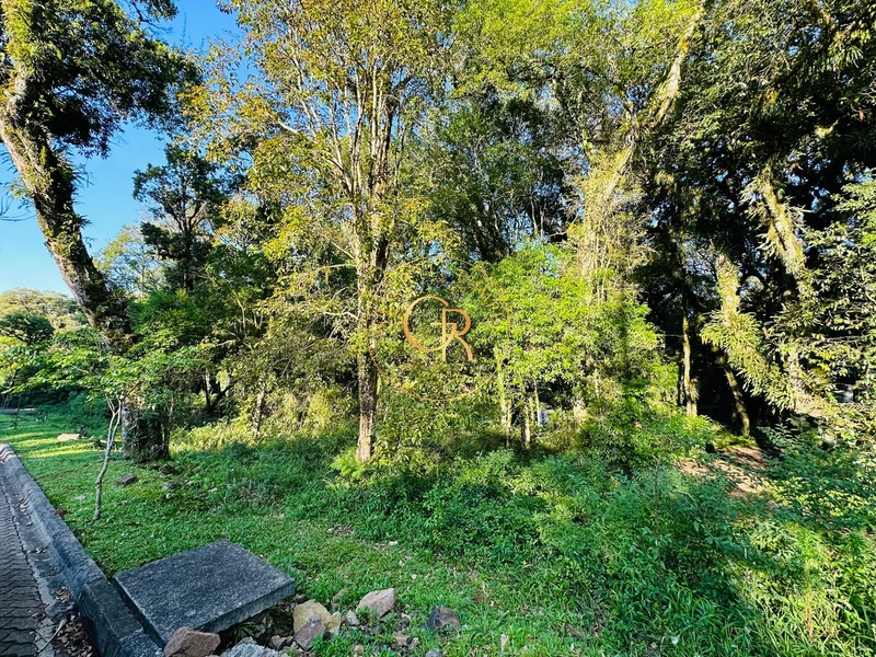 Terreno em Condomínio em Canela: 1ª foto da galeria de imagens do imóvel
