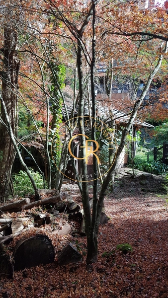 Apartamento de 01 dormitório em Gramado: 35ª foto da galeria de imagens do imóvel