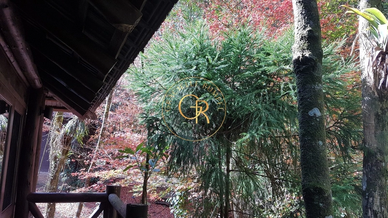 Apartamento de 01 dormitório em Gramado: 30ª foto da galeria de imagens do imóvel