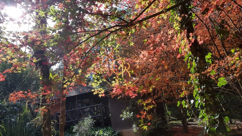Apartamento de 01 dormitório em Gramado: 40ª foto da galeria de imagens do imóvel