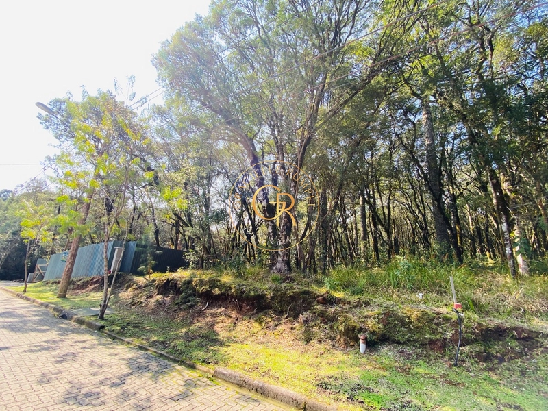 Terreno plano em condomínio fechado!: 1ª foto da galeria de imagens do imóvel