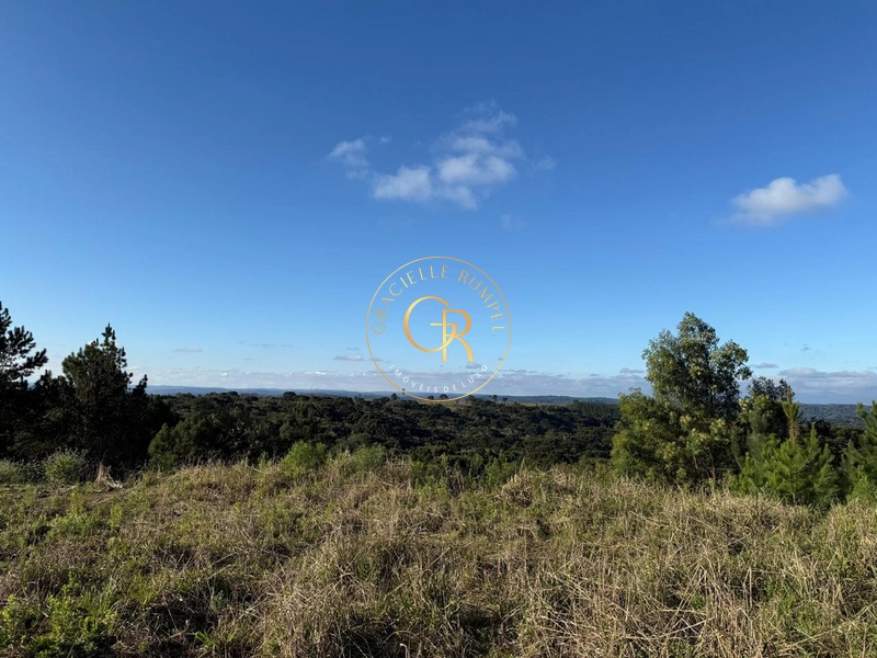 TERRENO PLANO COM VISTA: 7ª foto da galeria de imagens do imóvel