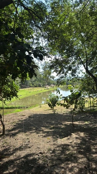 Casa em Condomínio para Venda em Indaiatuba / SP no bairro Jardim Laguna: 34ª foto da galeria de imagens do imóvel