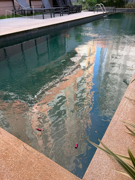 Locação Estudio Nex One Nhambiquaras Moema - São Paulo: 28ª foto da galeria de imagens do imóvel