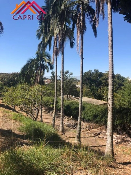 Chácara para Venda em Indaiatuba / SP no bairro Chácara Polaris: 15ª foto da galeria de imagens do imóvel