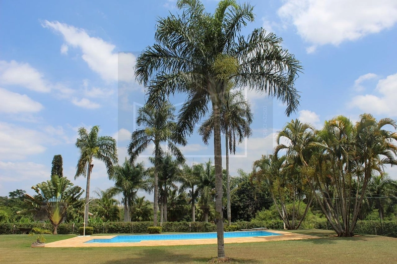 Chácara para Venda em Indaiatuba / SP no bairro Colinas do Mosteiro de Itaici: 9ª foto da galeria de imagens do imóvel