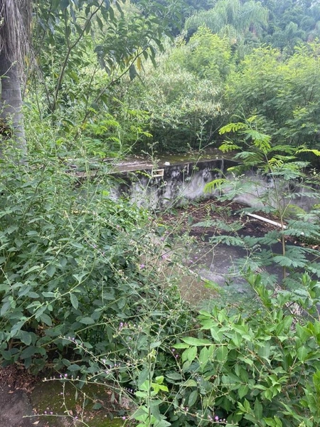 Sítio para Venda em Indaiatuba / SP no bairro Pedregulho: 11ª foto da galeria de imagens do imóvel