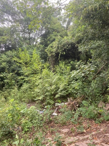 Sítio para Venda em Indaiatuba / SP no bairro Pedregulho: 12ª foto da galeria de imagens do imóvel