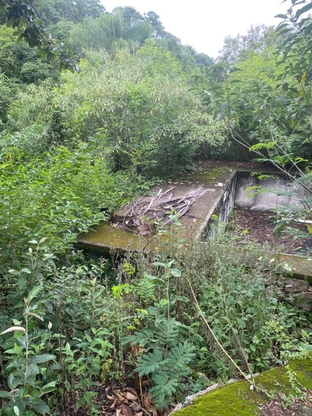 Sítio para Venda em Indaiatuba / SP no bairro Pedregulho: 13ª foto da galeria de imagens do imóvel