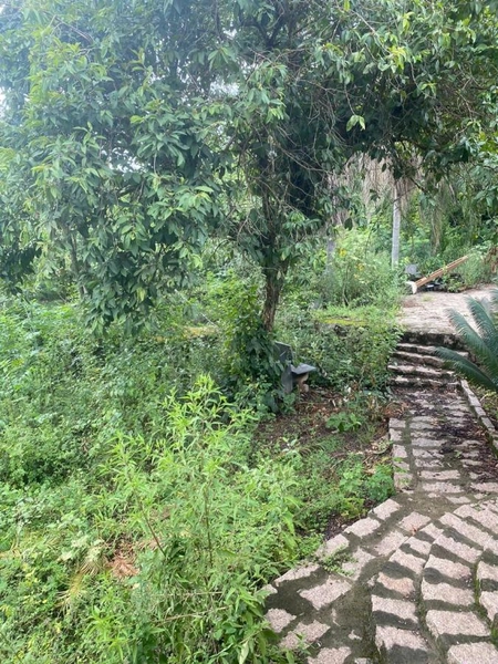 Sítio para Venda em Indaiatuba / SP no bairro Pedregulho: 8ª foto da galeria de imagens do imóvel