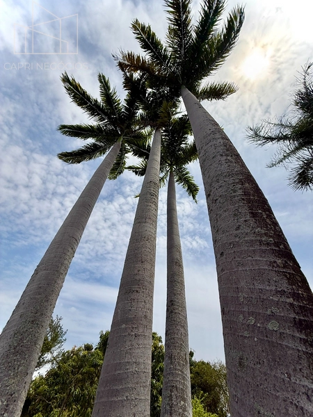 5.000 metros privativos de natureza e bem estar,  dentro da cidade maravilhosa: 42ª foto da galeria de imagens do imóvel