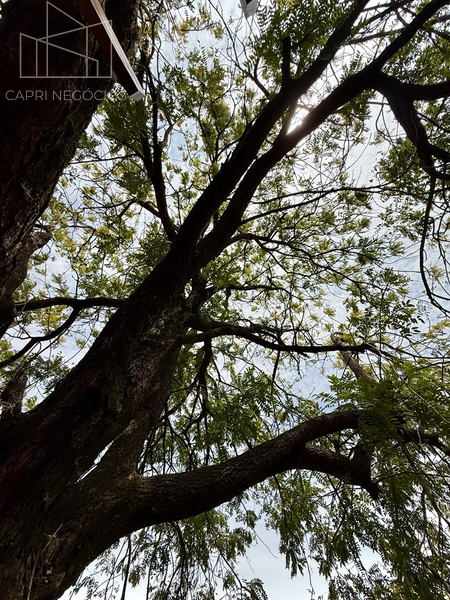 5.000 metros privativos de natureza e bem estar,  dentro da cidade maravilhosa: 38ª foto da galeria de imagens do imóvel