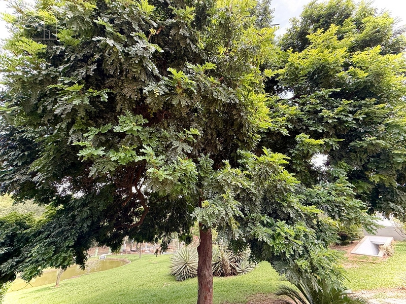5.000 metros privativos de natureza e bem estar,  dentro da cidade maravilhosa: 43ª foto da galeria de imagens do imóvel